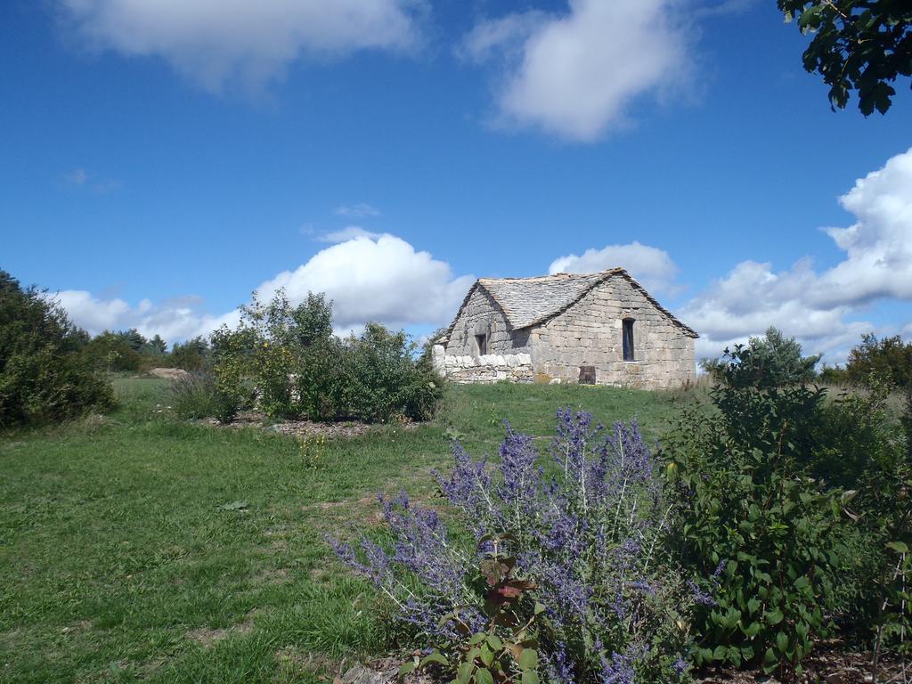 Chapelle Du Domaine De Bombes Villa Saint-Rome-de-Dolan Exteriör bild